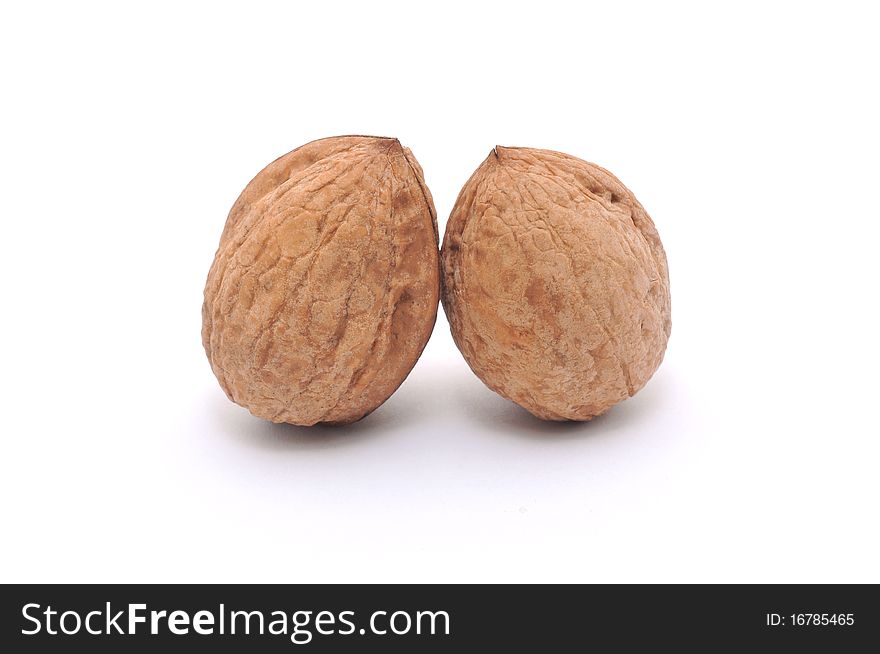 Isolated walnuts. Two isolated walnuts.