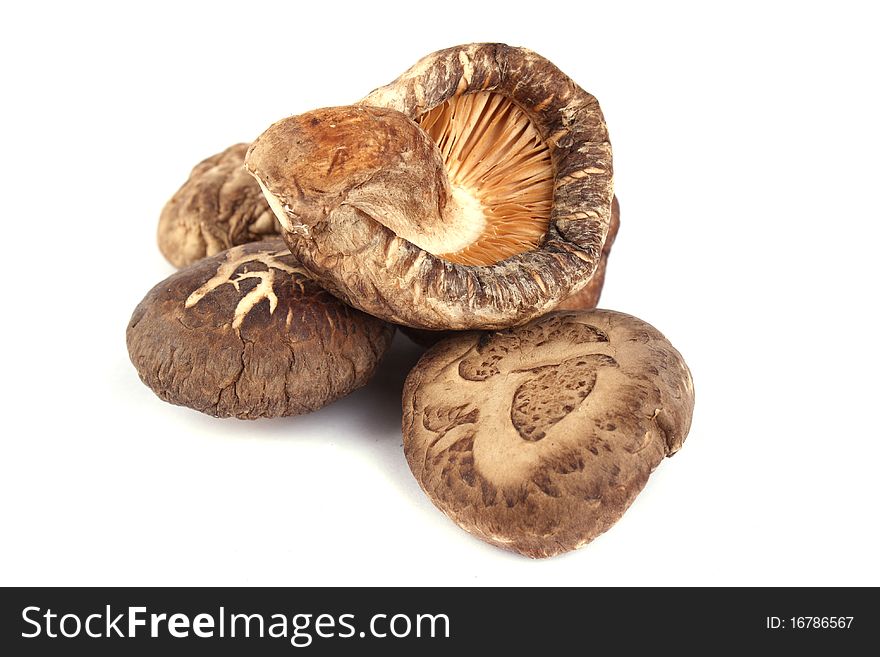 Close up top dried mushroom isolated on white background. Close up top dried mushroom isolated on white background
