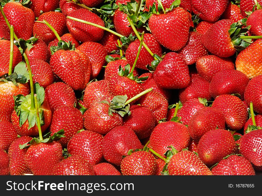 Group of strawberrys as a show of spring farms production in San Francisco, California.