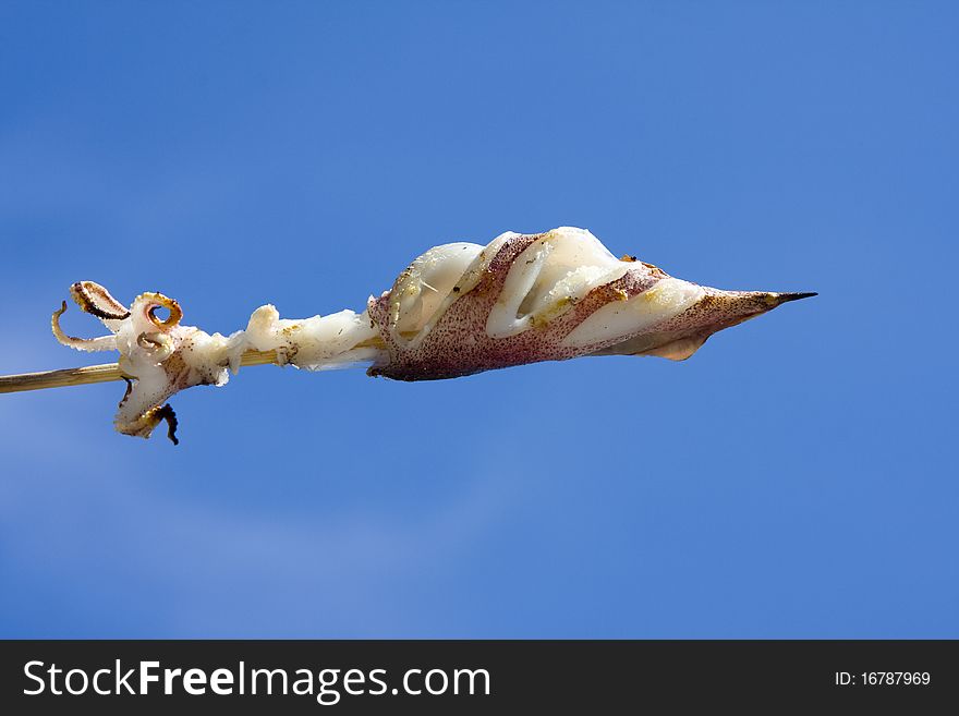 Squid against the blue sky