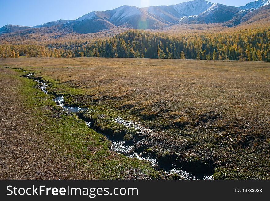 Snow Mountain and golden frosty in xinjiang ,china