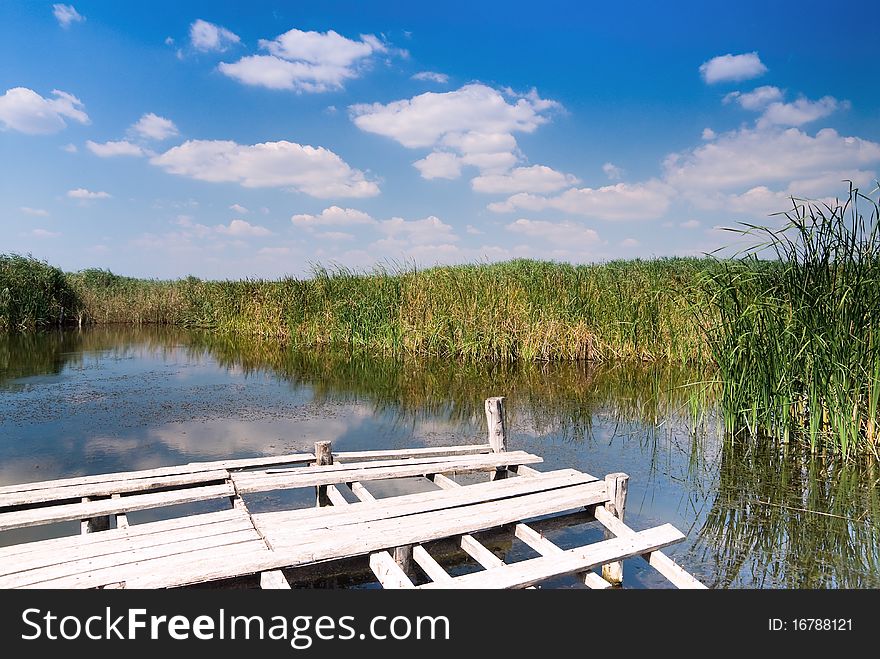 Landscape of wild lake with reed on a beautiful sunny summer day. Landscape of wild lake with reed on a beautiful sunny summer day