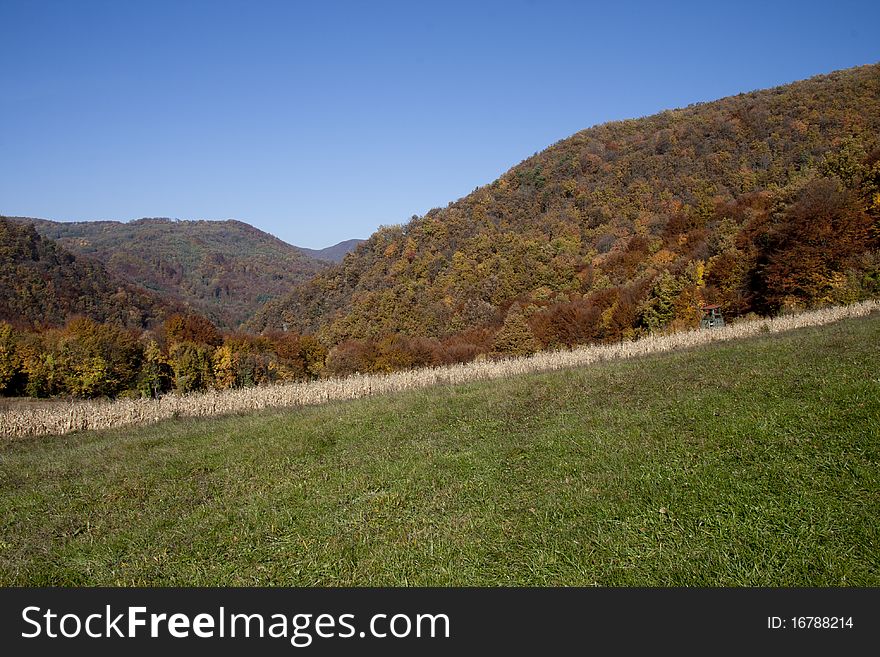 Landscape view in Croatia(Zagorje), forest in the autumn. Landscape view in Croatia(Zagorje), forest in the autumn