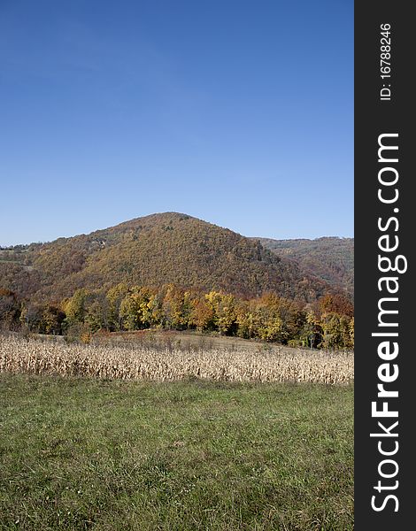 Landscape view in Croatia(Zagorje), forest in the autumn. Landscape view in Croatia(Zagorje), forest in the autumn