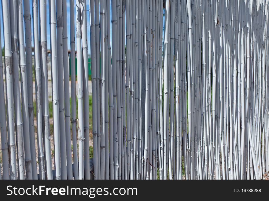 White bamboo fence in strong sunlight