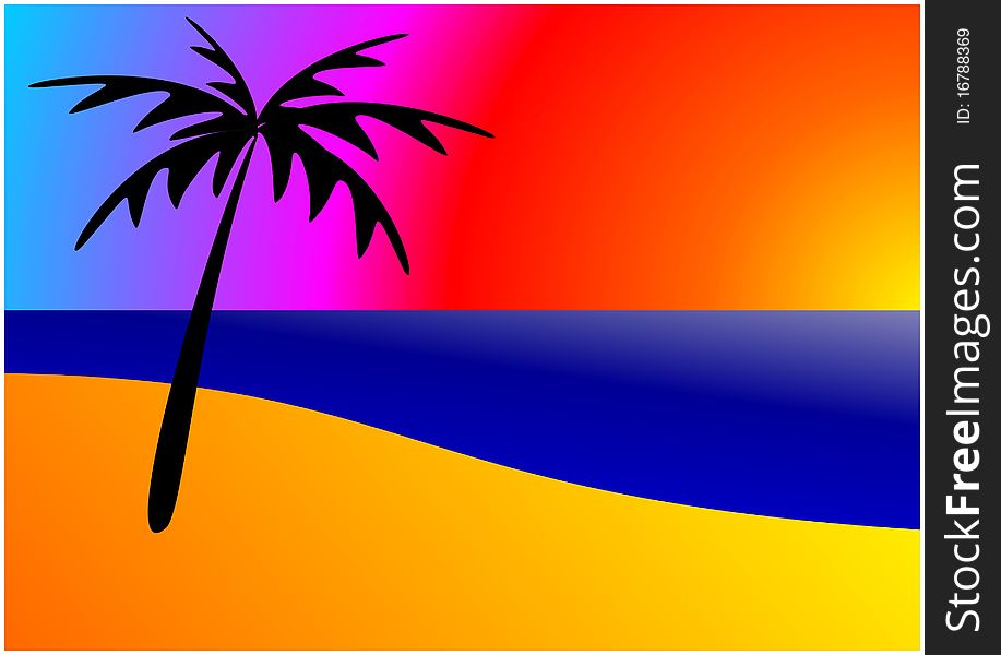 Palm tree on beach with sunset. Palm tree on beach with sunset