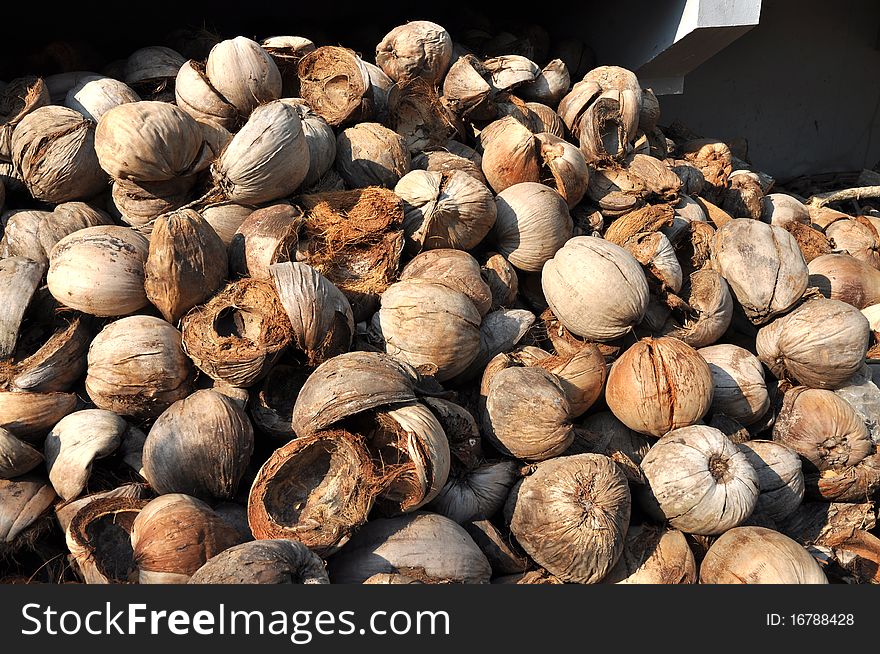 Coconut Hairy Husk Brown Group