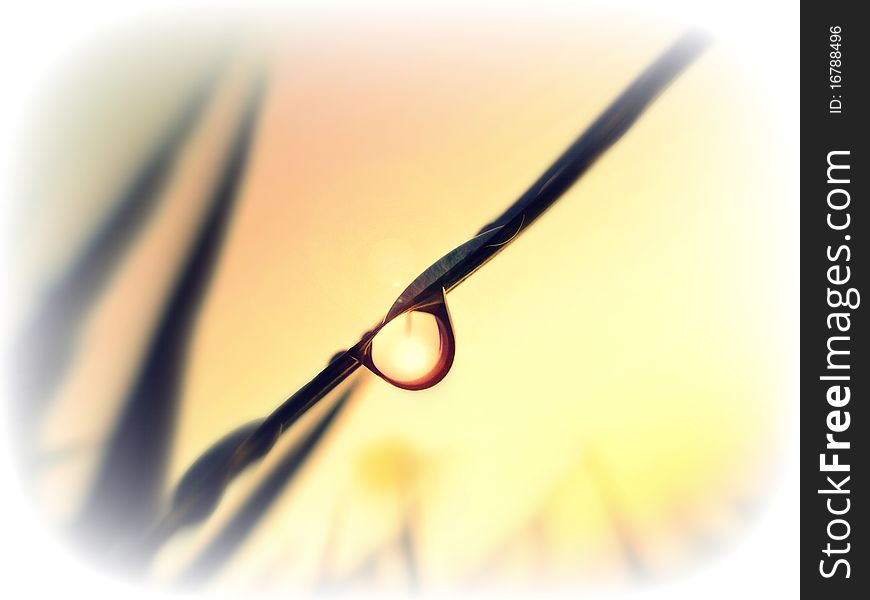 A Drop Of Water In The Sunset. A Drop Of Water In The Sunset