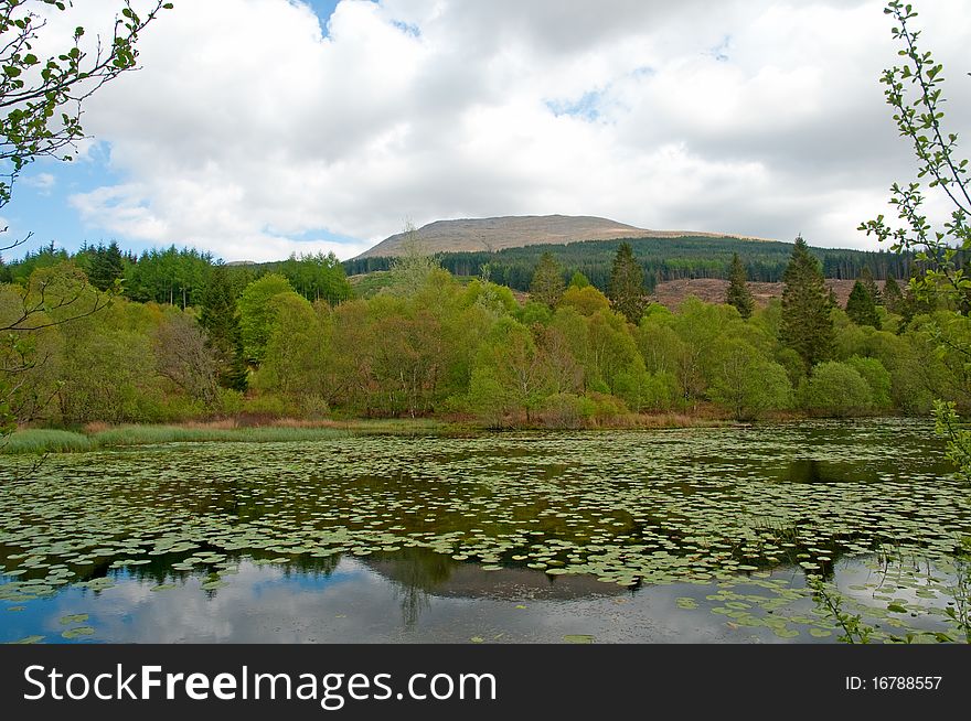 The landscape of inverawe country park and lily loch
near taynuilt in scotland. The landscape of inverawe country park and lily loch
near taynuilt in scotland