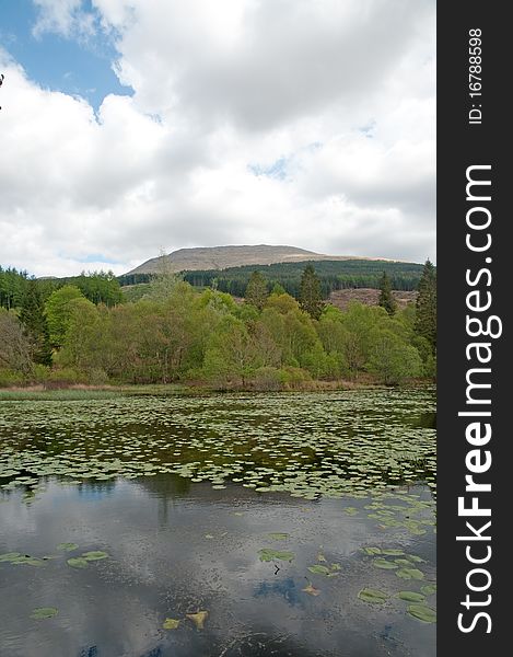 The landscape of inverawe country park and lily loch near taynuilt in scotland. The landscape of inverawe country park and lily loch near taynuilt in scotland