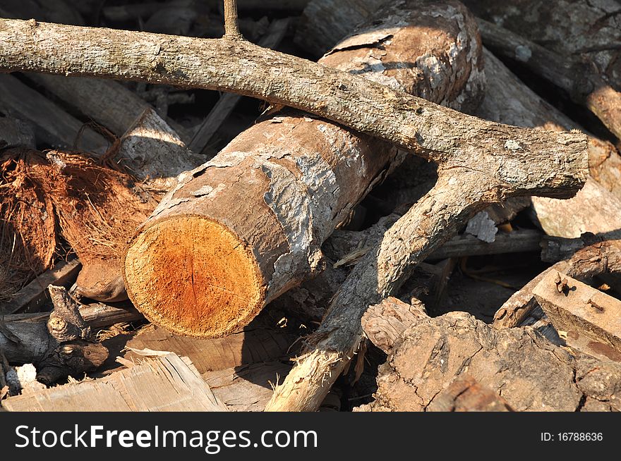 Wood Log Timber Stick