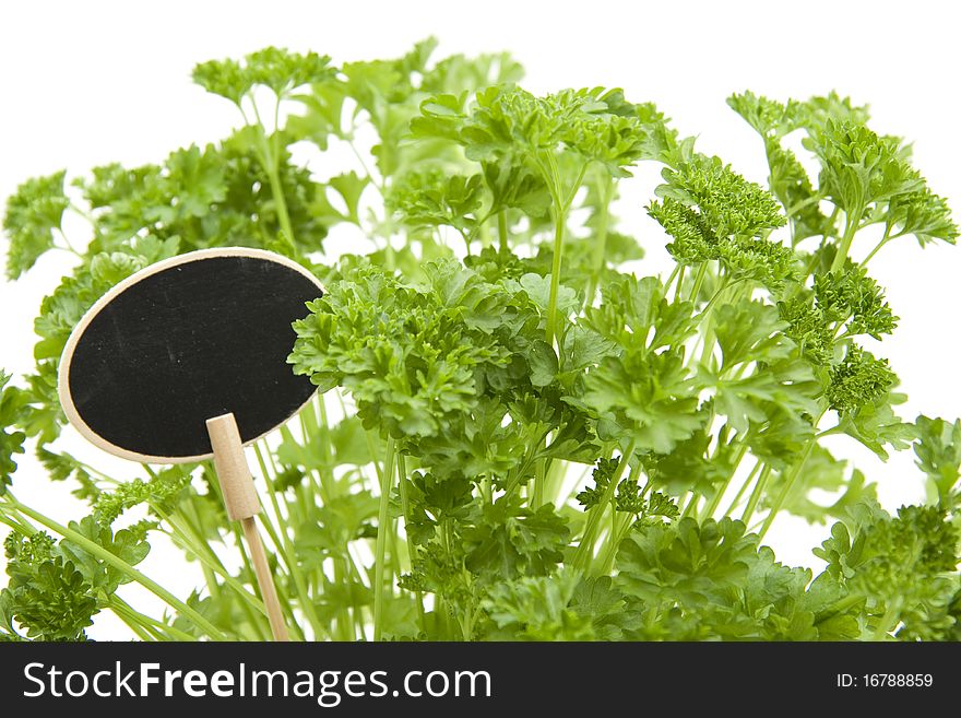 Parsley in the flowerpot with label