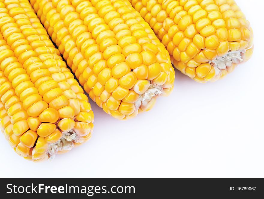 Three pieces of ripe maize. Three pieces of ripe maize