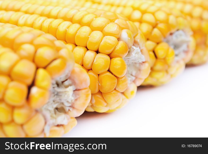 Closeup of dry ripe maize. Closeup of dry ripe maize