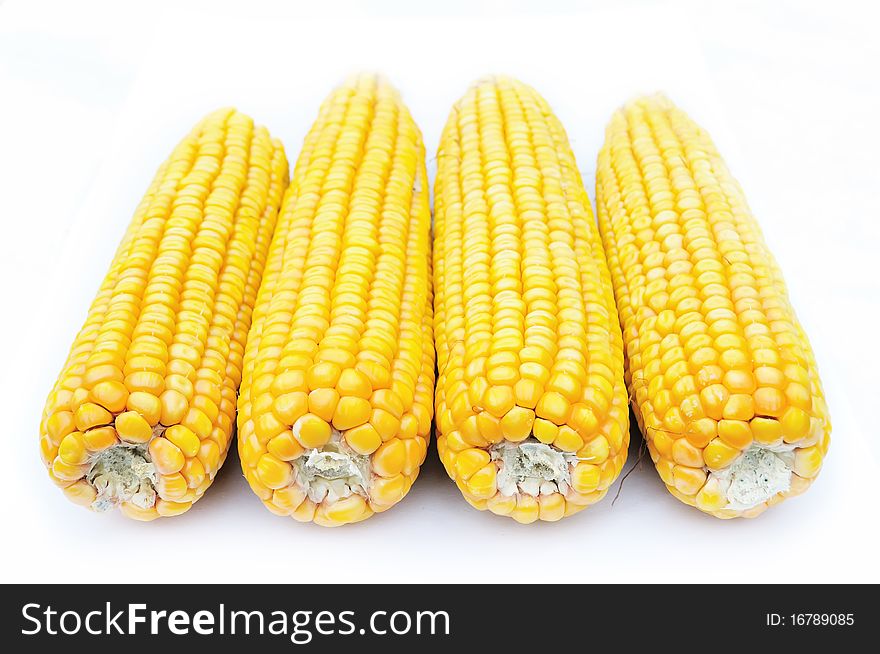 Four ripe maize on white background