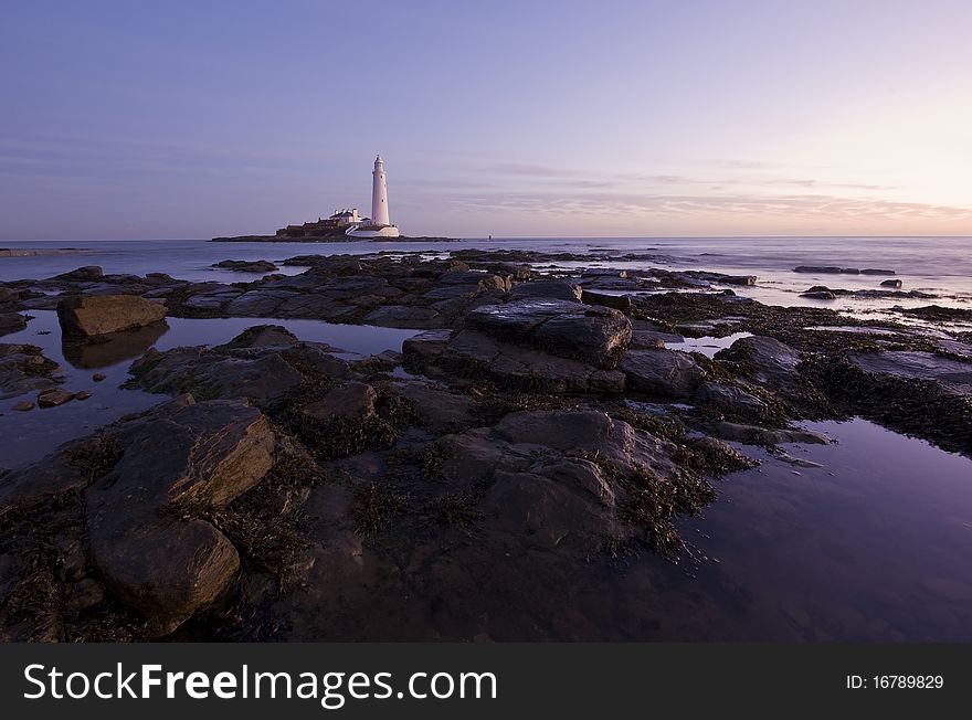St Mary S Lighthouse At Sunrise In Purple
