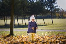 In The Autumn Park Royalty Free Stock Images In The Autumn Park Royalty Free Stock Images