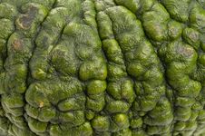 Background Of Green Pumpkin. Royalty Free Stock Photos Background Of Green Pumpkin. Royalty Free Stock Photos