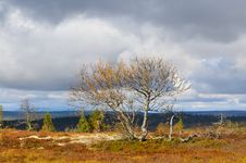 Sweden Royalty Free Stock Photo Sweden Royalty Free Stock Photo
