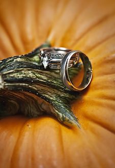 Wedding Rings On Pumpkin Royalty Free Stock Photo Wedding Rings On Pumpkin Royalty Free Stock Photo