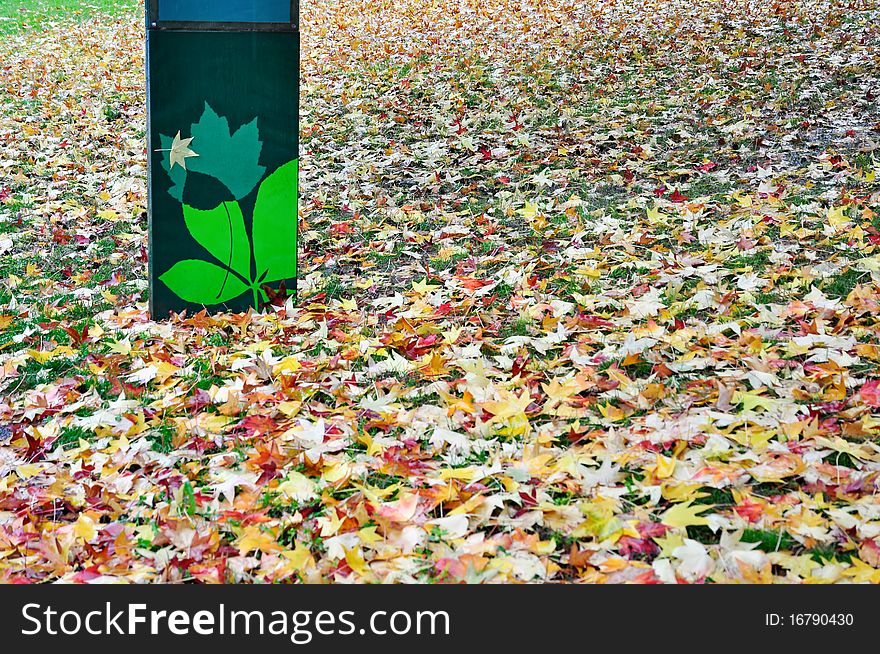 Autumnal fallen leaves in a city park.