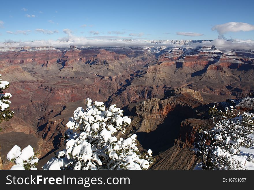 Grand Canyon With Snow In Winter