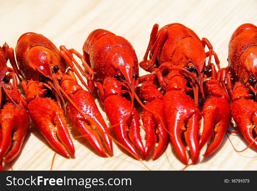 Row of a red crayfishes, wooden background. Row of a red crayfishes, wooden background