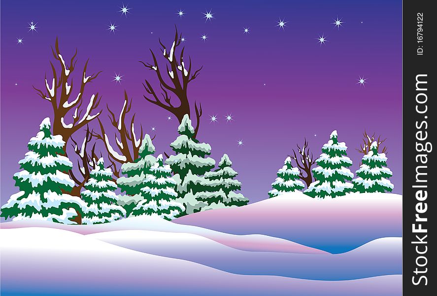 Winter forest. Illustration for design.