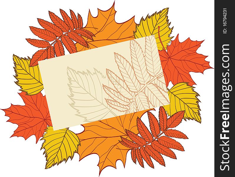 Autumn background. Illustration for design. No gradients.