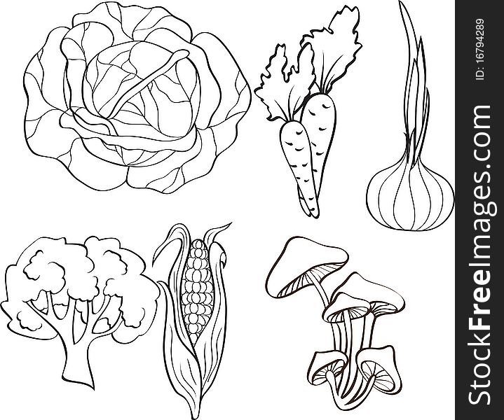 Set of vegetables.Illustration for design.