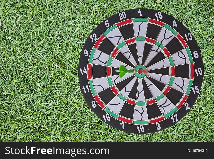 Dart board Target on green grass. Dart board Target on green grass