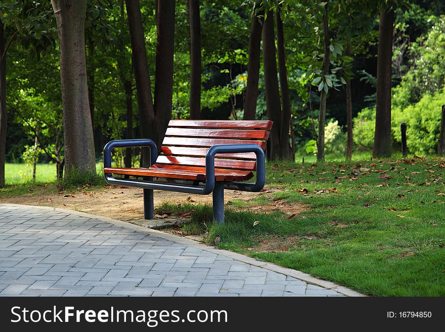 Wooden park bench in park.