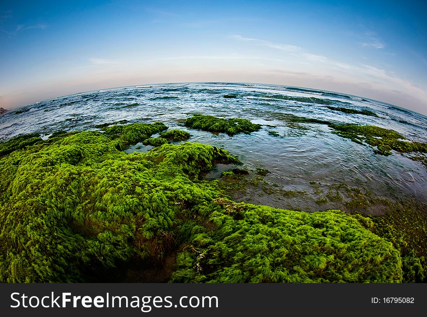 A beautiful shore with lots of green and blue looking to the horizon. This picture was taken in a fish eye lense.