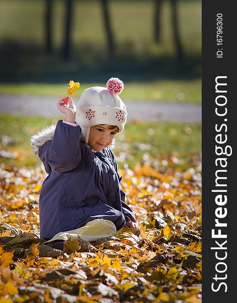Little girl sitting in the autumn leaves. Little girl sitting in the autumn leaves