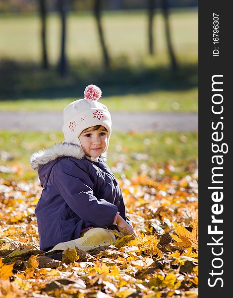 Little girl sitting in the autumn leaves. Little girl sitting in the autumn leaves