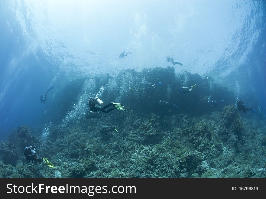 Big group of scuba divers underwater. Yolanda reef, Ras Mohamed National Park, Red Sea, Egypt.