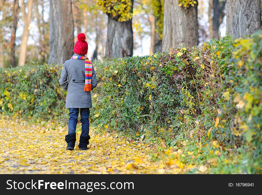 Little Miss. Pretty cute girl walks in autumn park