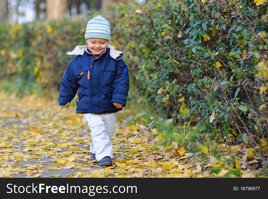 Little cute boy walks in autumn park