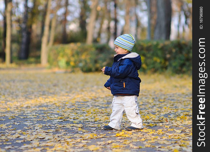 Little cute boy walks in autumn park