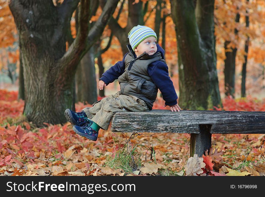 Cute little boy sitting on a bench