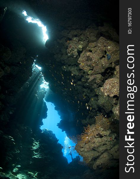 Rays of sunlight shining through inside an underwater cave. Jackfish alley, Ras Mohamed National Park, Red Sea, Egypt. Rays of sunlight shining through inside an underwater cave. Jackfish alley, Ras Mohamed National Park, Red Sea, Egypt.