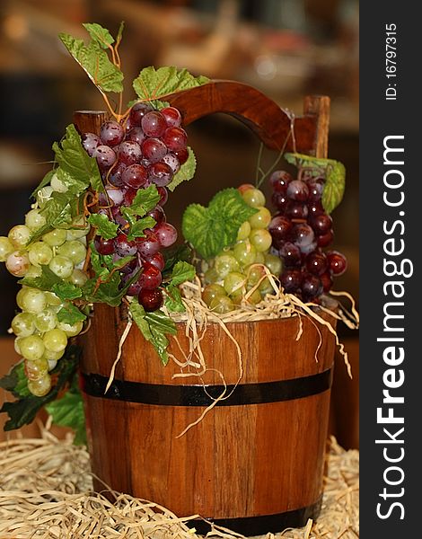 New crop of grapes harvested in bucket. New crop of grapes harvested in bucket