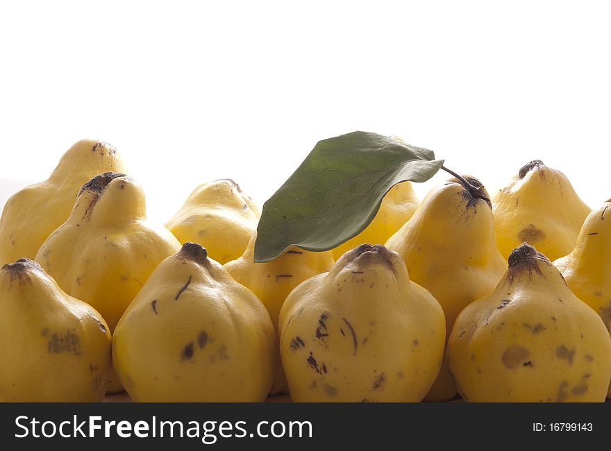 Late autumn fruit, quince 
three