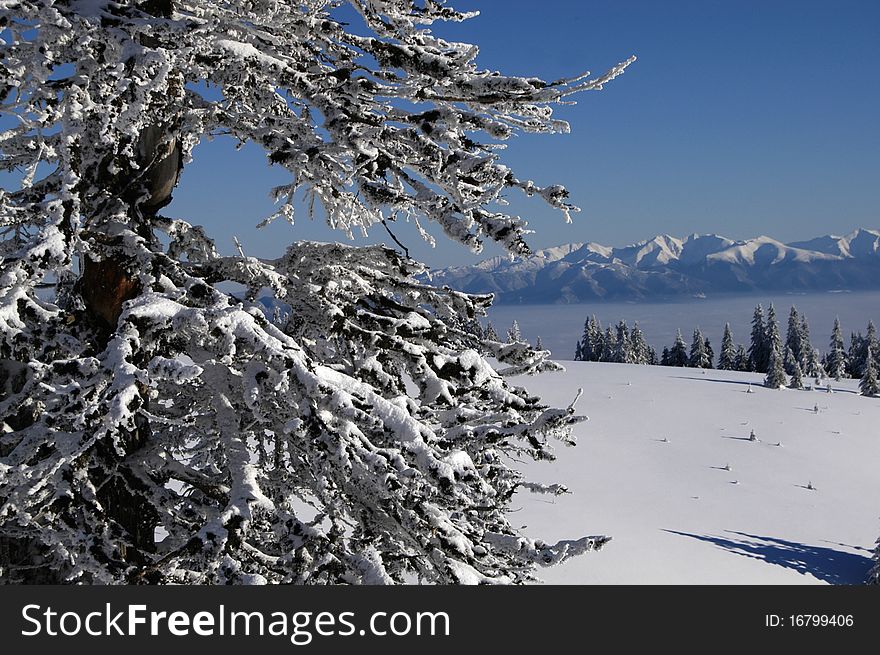Winter in Central Slovakia in the Tatra Mountains