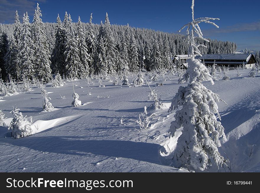 Winter in Central Slovakia in the Tatra Mountains