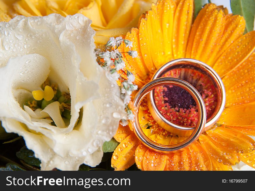 Two golden wedding rings on an orange flower. Two golden wedding rings on an orange flower