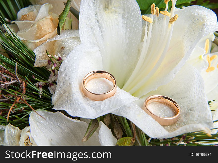 Two golden wedding rings on a white orchid. Two golden wedding rings on a white orchid
