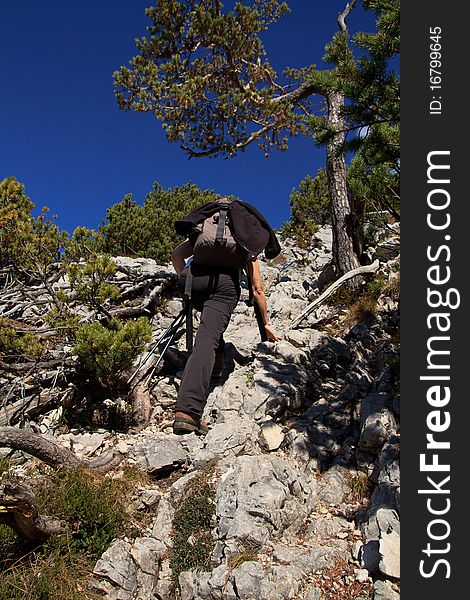 Hiking in Austrian mountains, woman. Hiking in Austrian mountains, woman