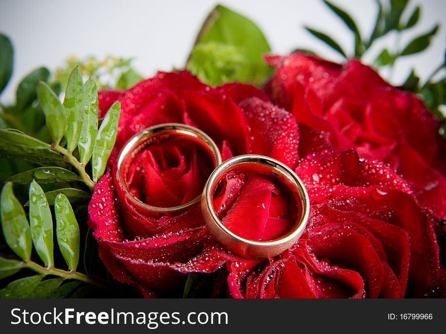 Closeup of two golden wedding rings on red roses. Closeup of two golden wedding rings on red roses