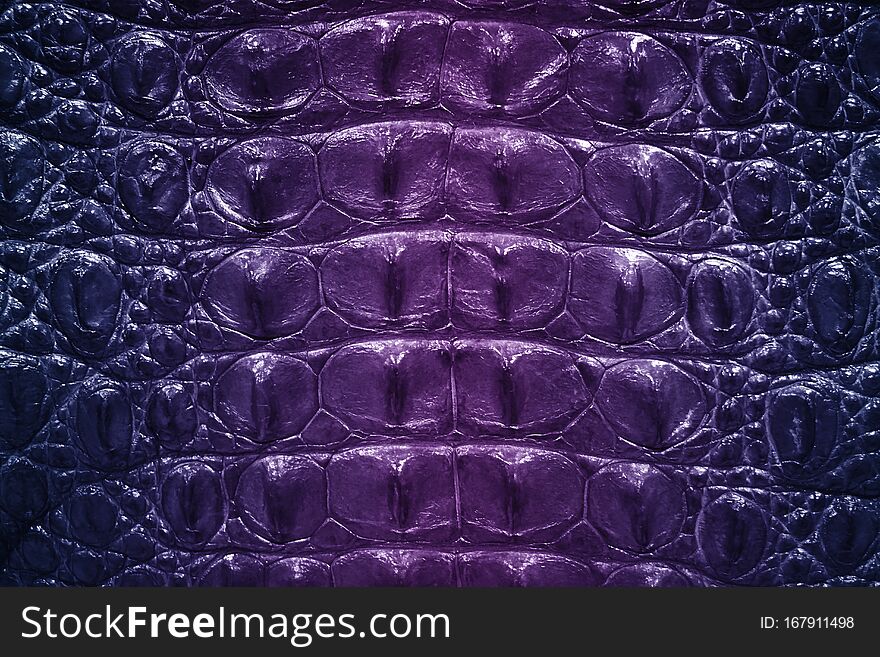 Leather with crocodile dressed texture. Abstract background in dark colors